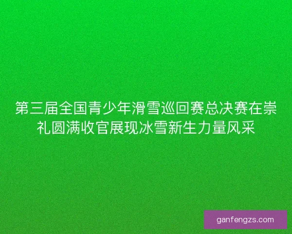第三届全国青少年滑雪巡回赛总决赛在崇礼圆满收官展现冰雪新生力量风采